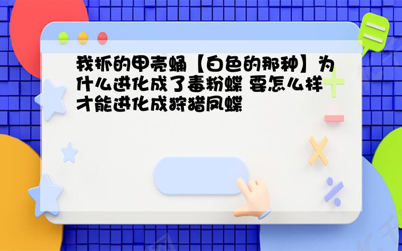 我抓的甲壳蛹【白色的那种】为什么进化成了毒粉蝶 要怎么样才能进化成狩猎凤蝶