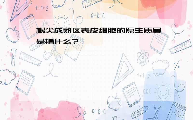 根尖成熟区表皮细胞的原生质层是指什么?