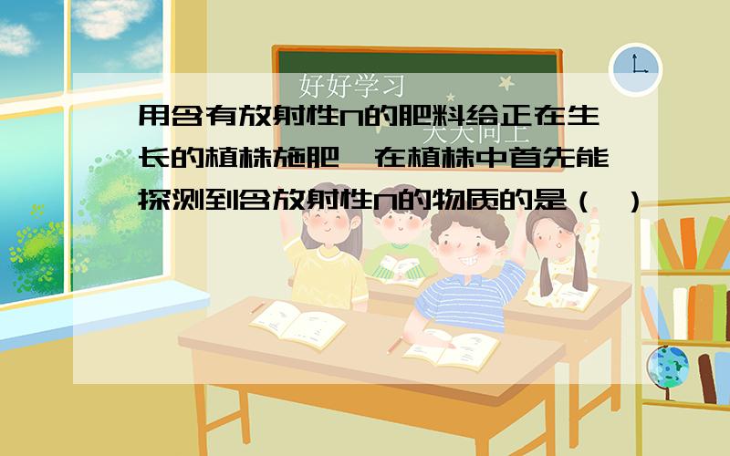 用含有放射性N的肥料给正在生长的植株施肥,在植株中首先能探测到含放射性N的物质的是（ ）