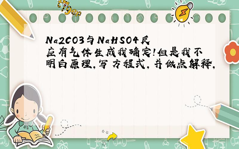 Na2CO3与NaHSO4反应有气体生成我确定!但是我不明白原理,写方程式,并做点解释,