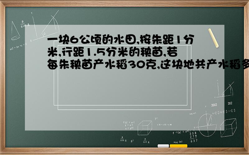 一块6公顷的水田,按朱距1分米,行距1.5分米的秧苗,若每朱秧苗产水稻30克,这块地共产水稻多少千克?