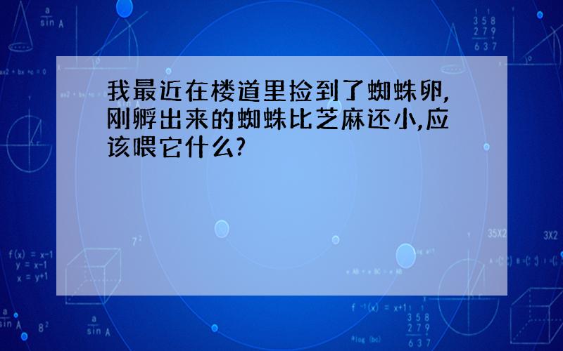 我最近在楼道里捡到了蜘蛛卵,刚孵出来的蜘蛛比芝麻还小,应该喂它什么?