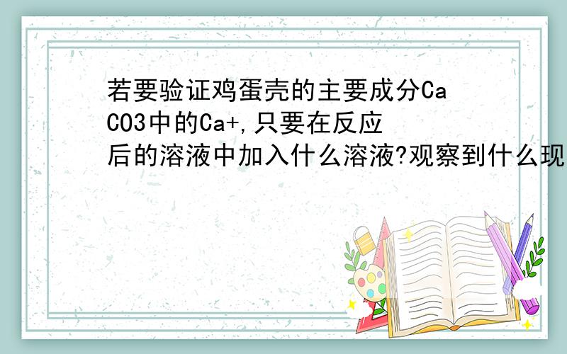 若要验证鸡蛋壳的主要成分CaCO3中的Ca+,只要在反应后的溶液中加入什么溶液?观察到什么现象即可