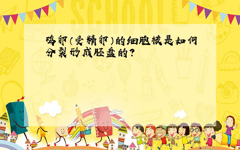 鸡卵（受精卵）的细胞核是如何分裂形成胚盘的?