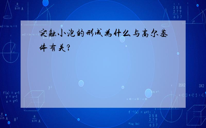 突触小泡的形成为什么与高尔基体有关?