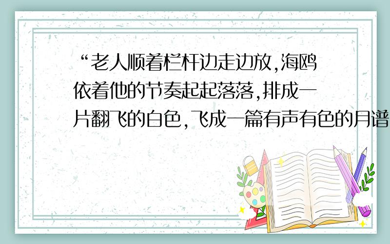 “老人顺着栏杆边走边放,海鸥依着他的节奏起起落落,排成一片翻飞的白色,飞成一篇有声有色的月谱.”写出你的体会.