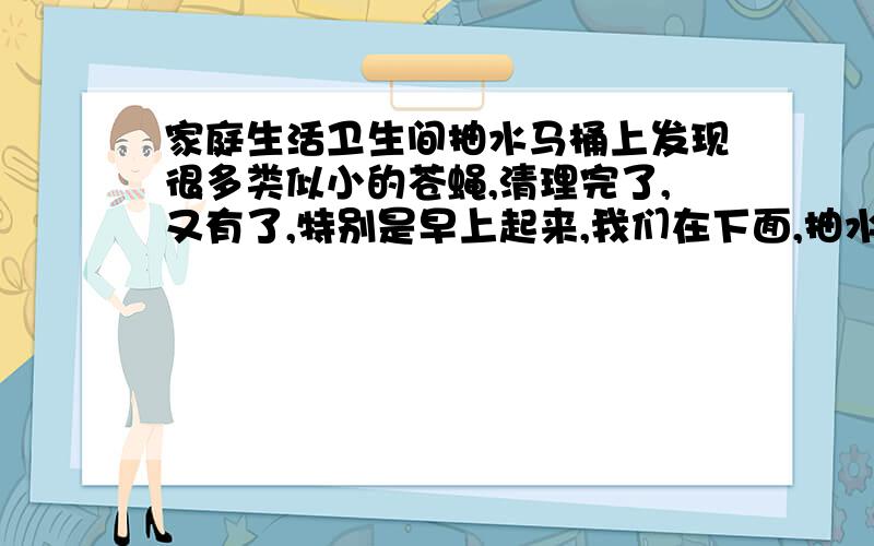 家庭生活卫生间抽水马桶上发现很多类似小的苍蝇,清理完了,又有了,特别是早上起来,我们在下面,抽水马桶的的下水道直接通往边