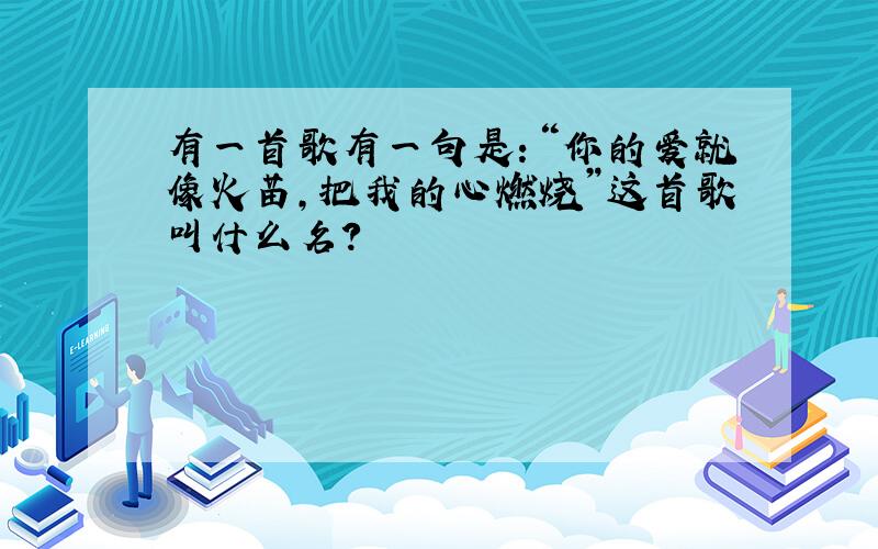 有一首歌有一句是：“你的爱就像火苗,把我的心燃烧”这首歌叫什么名?