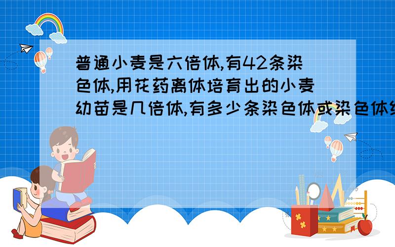 普通小麦是六倍体,有42条染色体,用花药离体培育出的小麦幼苗是几倍体,有多少条染色体或染色体组