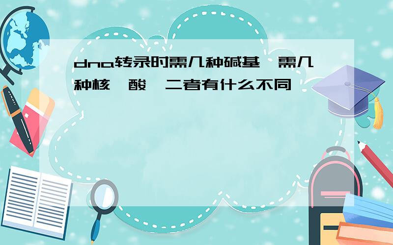 dna转录时需几种碱基,需几种核苷酸,二者有什么不同