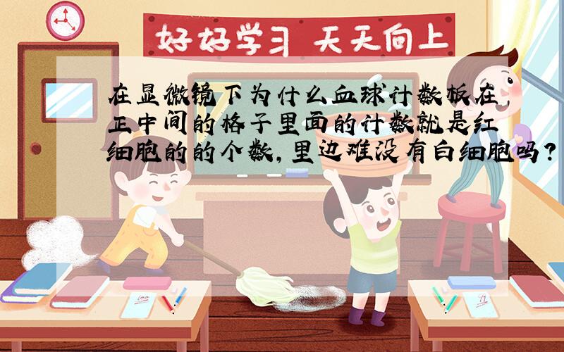 在显微镜下为什么血球计数板在正中间的格子里面的计数就是红细胞的的个数,里边难没有白细胞吗?