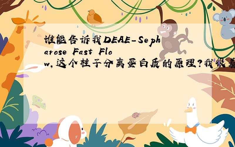 谁能告诉我DEAE-Sepharose Fast Flow,这个柱子分离蛋白质的原理?我很着急,