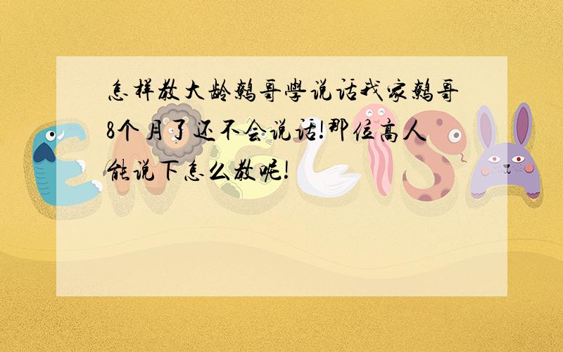 怎样教大龄鹩哥学说话我家鹩哥8个月了还不会说话!那位高人能说下怎么教呢!