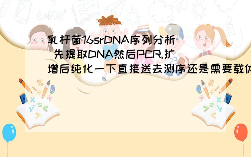 乳杆菌16srDNA序列分析 先提取DNA然后PCR,扩增后纯化一下直接送去测序还是需要载体连接后才能送去测序?