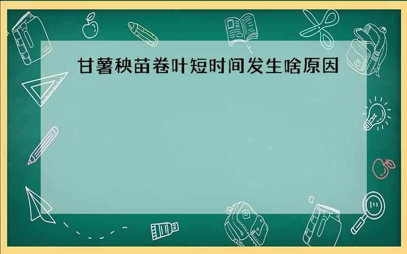 甘薯秧苗卷叶短时间发生啥原因