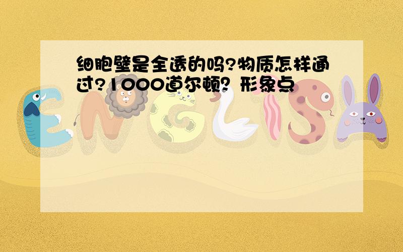 细胞壁是全透的吗?物质怎样通过?1000道尔顿？形象点