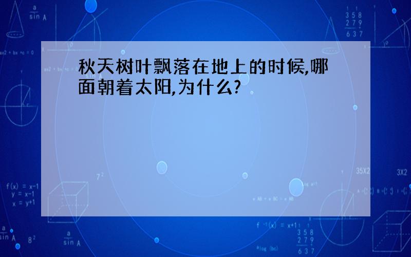 秋天树叶飘落在地上的时候,哪面朝着太阳,为什么?