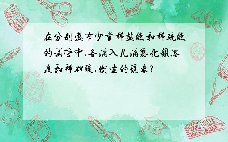 在分别盛有少量稀盐酸和稀硫酸的试管中,各滴入几滴氯化钡溶液和稀硝酸,发生的现象?