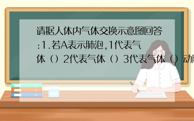 请据人体内气体交换示意图回答:1.若A表示肺泡,1代表气体（）2代表气体（）3代表气体（）动脉中是（）血