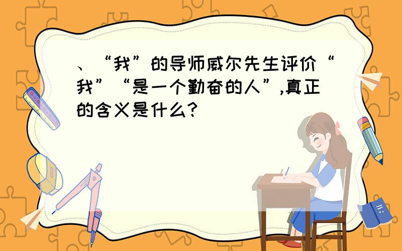 、“我”的导师威尔先生评价“我”“是一个勤奋的人”,真正的含义是什么?