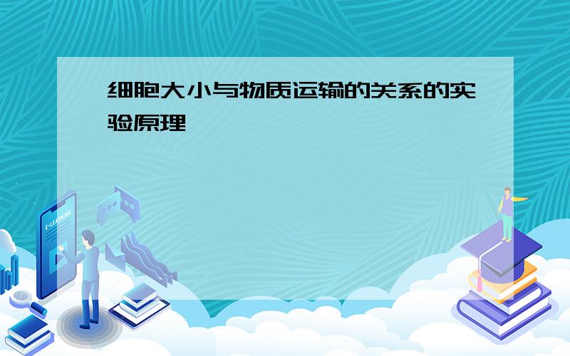 细胞大小与物质运输的关系的实验原理