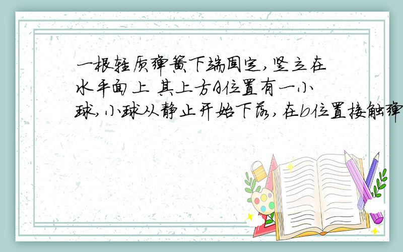 一根轻质弹簧下端固定,竖立在水平面上 其上方A位置有一小球,小球从静止开始下落,在b位置接触弹簧上端,