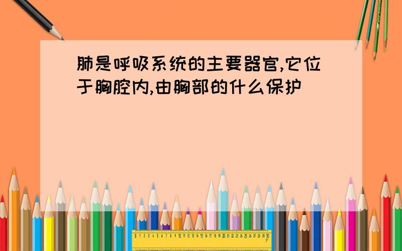 肺是呼吸系统的主要器官,它位于胸腔内,由胸部的什么保护