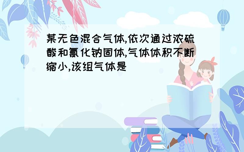 某无色混合气体,依次通过浓硫酸和氯化钠固体,气体体积不断缩小,该组气体是