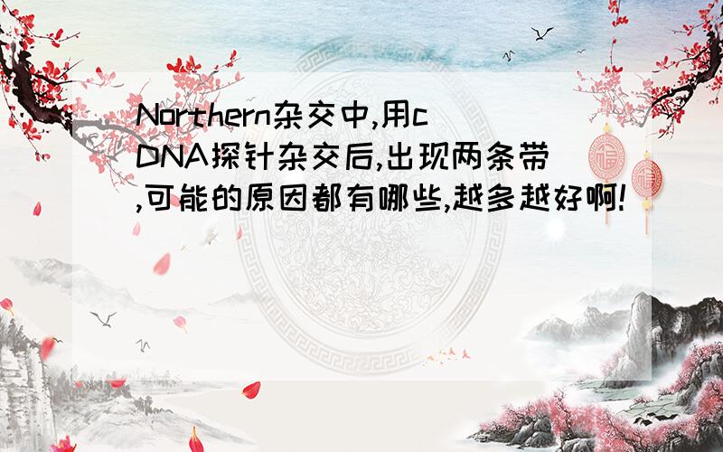 Northern杂交中,用cDNA探针杂交后,出现两条带,可能的原因都有哪些,越多越好啊!