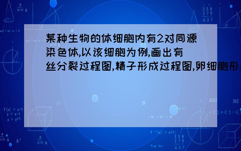 某种生物的体细胞内有2对同源染色体,以该细胞为例,画出有丝分裂过程图,精子形成过程图,卵细胞形成过程图