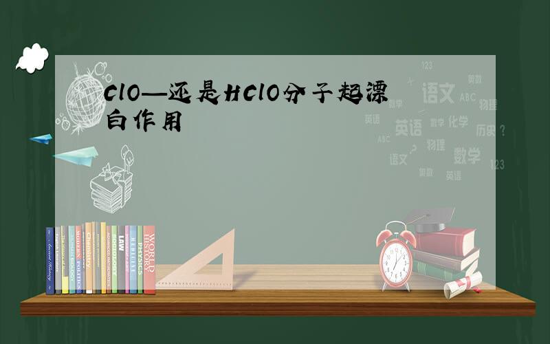 ClO—还是HClO分子起漂白作用