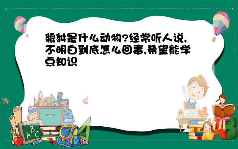 貔貅是什么动物?经常听人说,不明白到底怎么回事,希望能学点知识