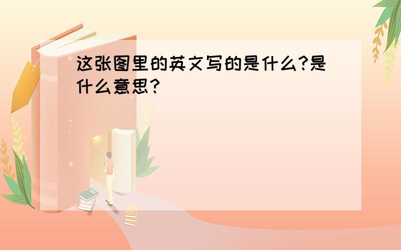 这张图里的英文写的是什么?是什么意思?