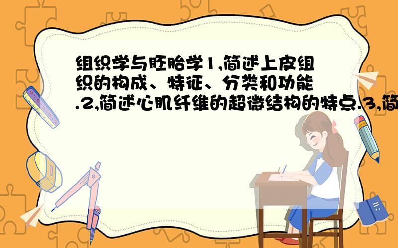 组织学与胚胎学1,简述上皮组织的构成、特征、分类和功能 .2,简述心肌纤维的超微结构的特点.3,简述特触的定义、分类和结