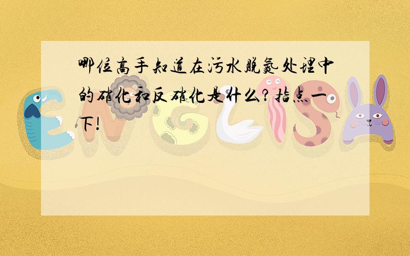 哪位高手知道在污水脱氮处理中的硝化和反硝化是什么?指点一下!