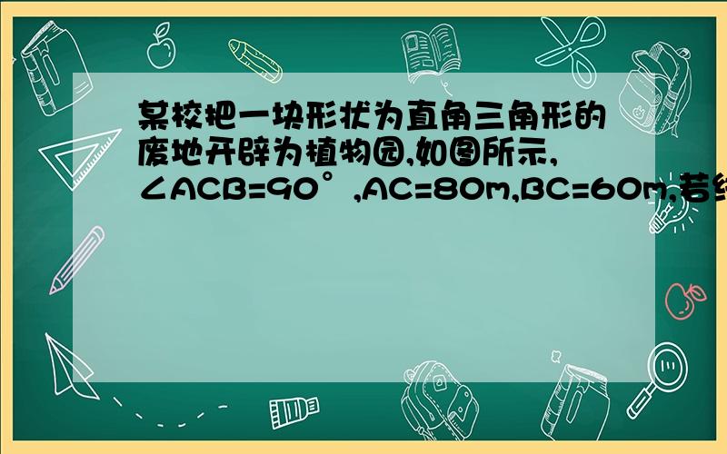 某校把一块形状为直角三角形的废地开辟为植物园,如图所示,∠ACB=90°,AC=80m,BC=60m,若线段CD是一条水