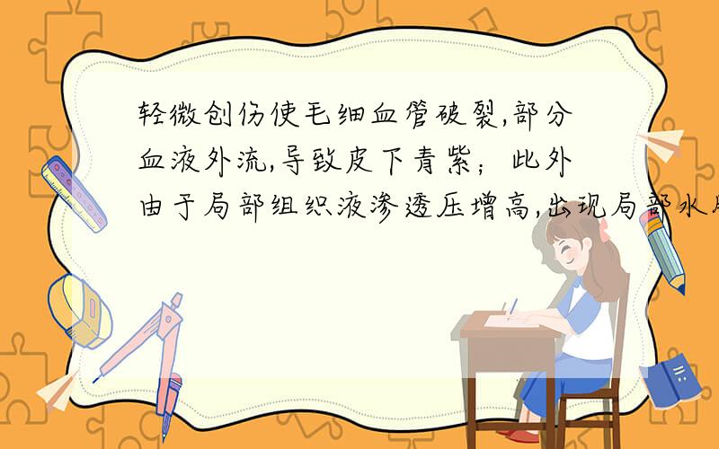 轻微创伤使毛细血管破裂,部分血液外流,导致皮下青紫；此外由于局部组织液渗透压增高,出现局部水肿.