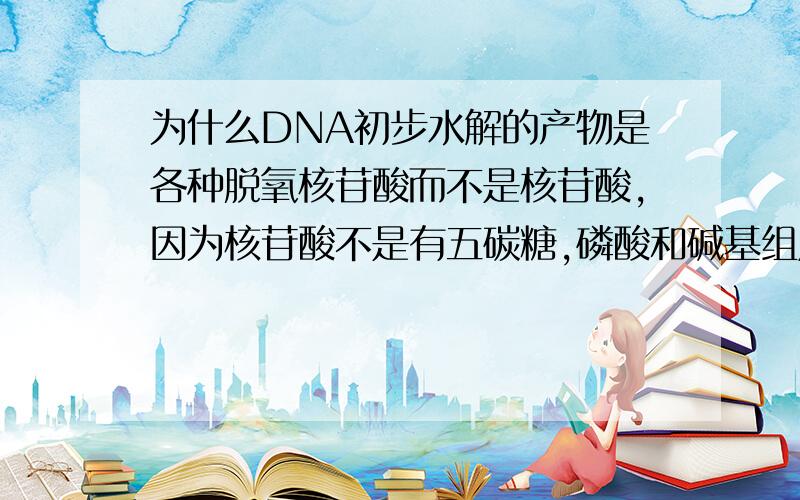 为什么DNA初步水解的产物是各种脱氧核苷酸而不是核苷酸,因为核苷酸不是有五碳糖,磷酸和碱基组成的吗