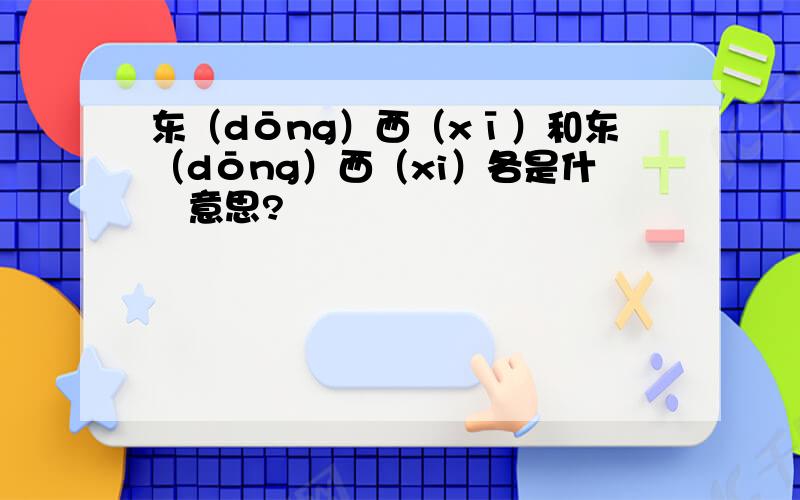 东（dōng）西（xī）和东（dōng）西（xi）各是什麼意思?