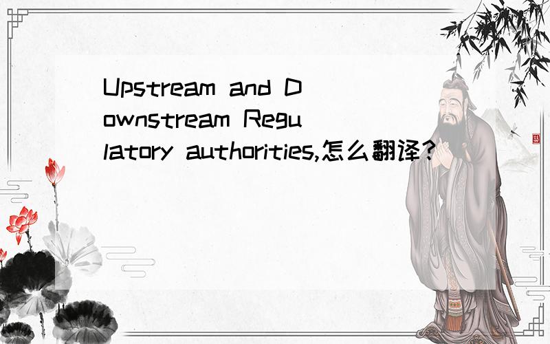 Upstream and Downstream Regulatory authorities,怎么翻译?