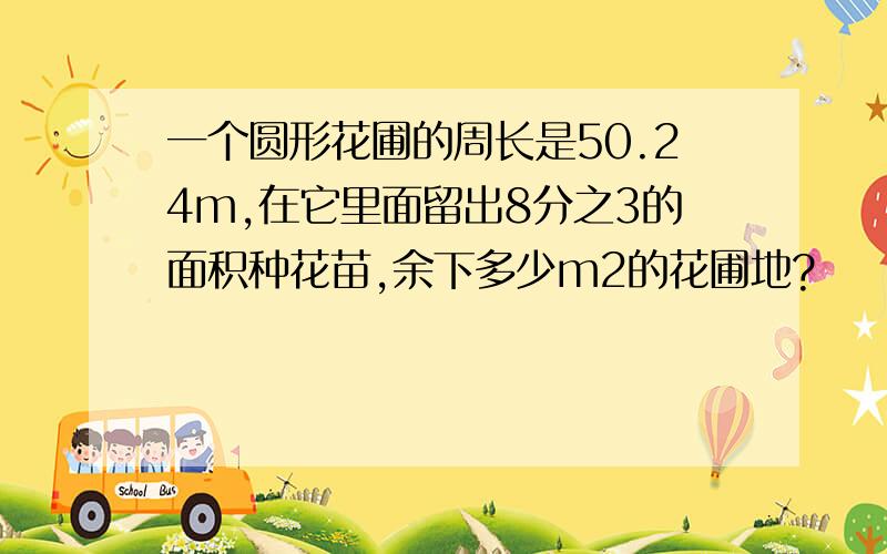 一个圆形花圃的周长是50.24m,在它里面留出8分之3的面积种花苗,余下多少m2的花圃地?