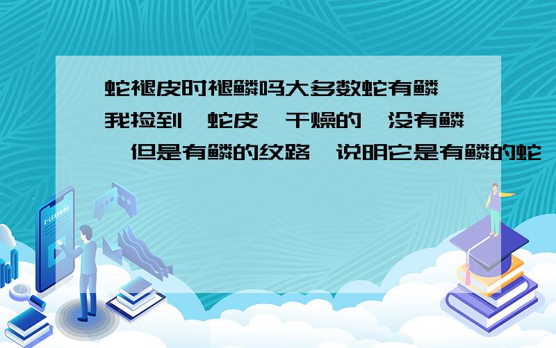 蛇褪皮时褪鳞吗大多数蛇有鳞,我捡到一蛇皮,干燥的,没有鳞,但是有鳞的纹路,说明它是有鳞的蛇,蛇皮却没鳞,也没有长鳞的孔,