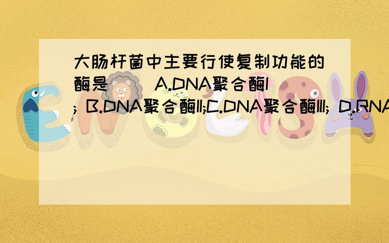 大肠杆菌中主要行使复制功能的酶是( )A.DNA聚合酶I; B.DNA聚合酶II;C.DNA聚合酶III; D.RNA聚