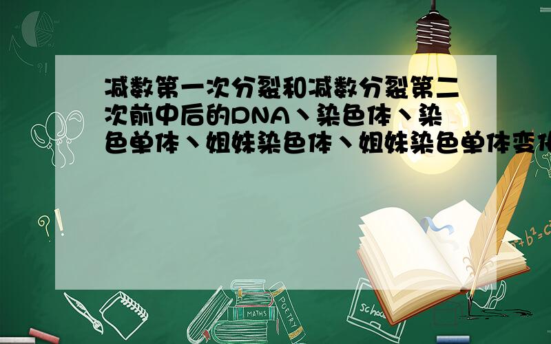 减数第一次分裂和减数分裂第二次前中后的DNA丶染色体丶染色单体丶姐妹染色体丶姐妹染色单体变化情况以及造成原因