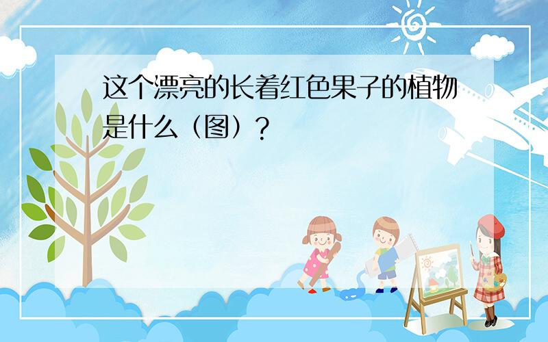 这个漂亮的长着红色果子的植物是什么（图）?