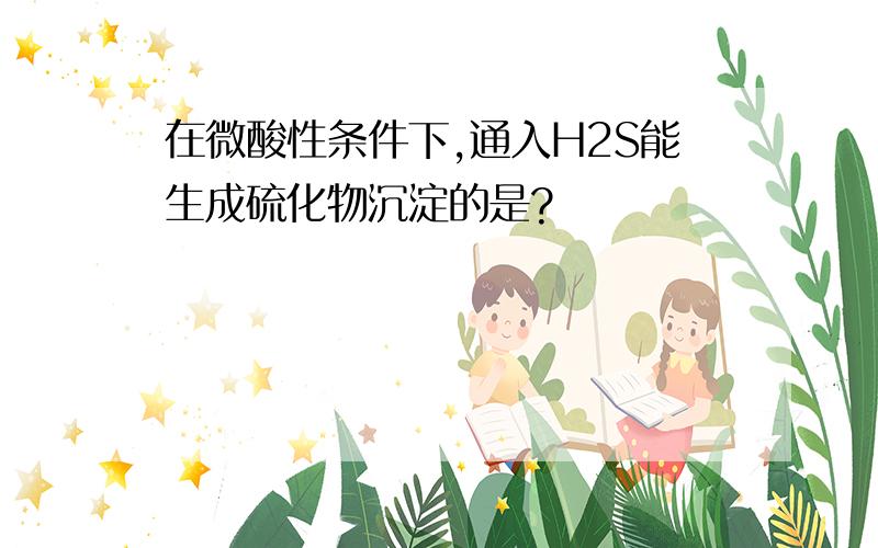 在微酸性条件下,通入H2S能生成硫化物沉淀的是?