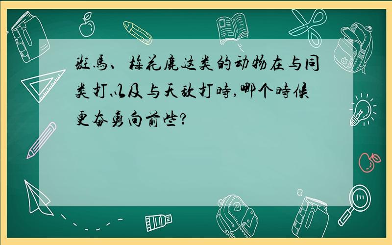 斑马、梅花鹿这类的动物在与同类打以及与天敌打时,哪个时候更奋勇向前些?