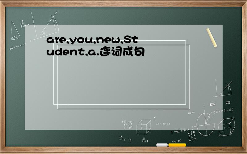 are,you,new,Student,a.连词成句