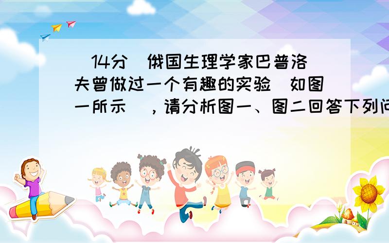 （14分）俄国生理学家巴普洛夫曾做过一个有趣的实验（如图一所示），请分析图一、图二回答下列问题：