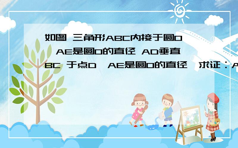 如图 三角形ABC内接于圆O,AE是圆O的直径 AD垂直BC 于点D,AE是圆O的直径,求证：AB×AC=AD×AE